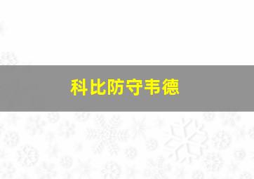 科比防守韦德