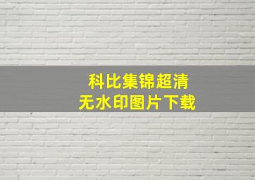 科比集锦超清无水印图片下载