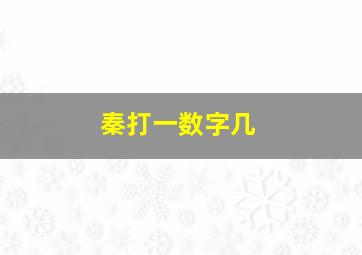 秦打一数字几