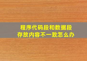 程序代码段和数据段存放内容不一致怎么办