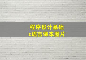 程序设计基础c语言课本图片