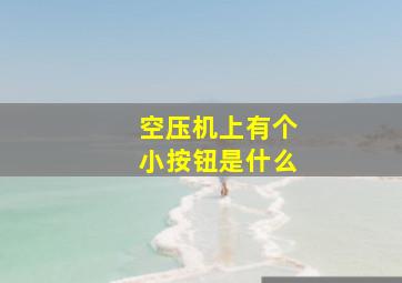 空压机上有个小按钮是什么