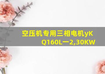 空压机专用三相电机yKQ160L一2,30KW