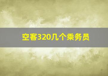 空客320几个乘务员