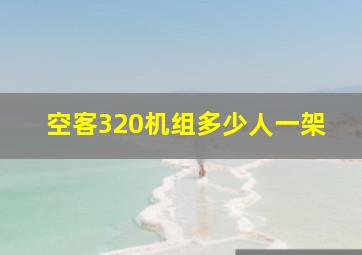 空客320机组多少人一架