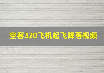 空客320飞机起飞降落视频