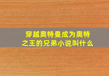 穿越奥特曼成为奥特之王的兄弟小说叫什么