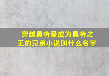 穿越奥特曼成为奥特之王的兄弟小说叫什么名字