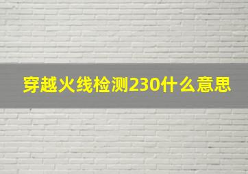 穿越火线检测230什么意思