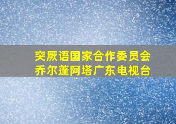 突厥语国家合作委员会乔尔蓬阿塔广东电视台