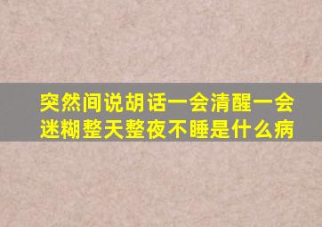 突然间说胡话一会清醒一会迷糊整天整夜不睡是什么病