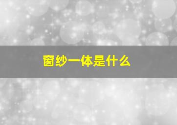 窗纱一体是什么