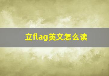 立flag英文怎么读