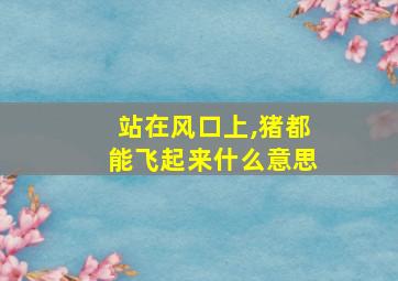 站在风口上,猪都能飞起来什么意思