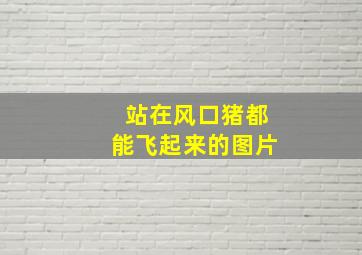 站在风口猪都能飞起来的图片