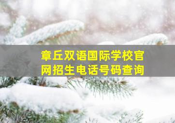 章丘双语国际学校官网招生电话号码查询