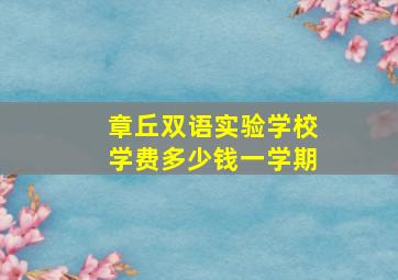 章丘双语实验学校学费多少钱一学期