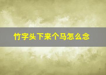 竹字头下来个马怎么念