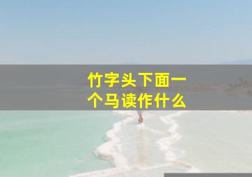 竹字头下面一个马读作什么