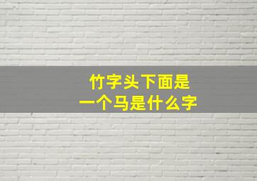 竹字头下面是一个马是什么字