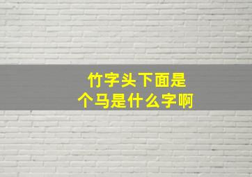 竹字头下面是个马是什么字啊