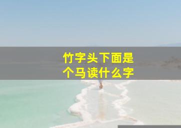 竹字头下面是个马读什么字