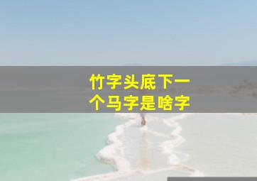 竹字头底下一个马字是啥字