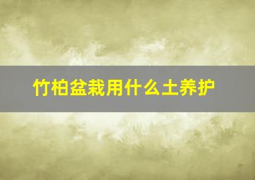 竹柏盆栽用什么土养护