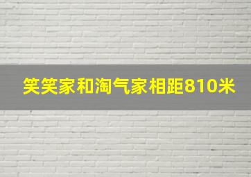 笑笑家和淘气家相距810米