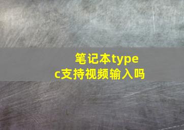 笔记本typec支持视频输入吗