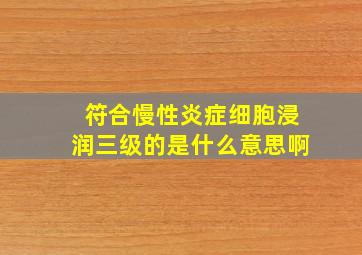 符合慢性炎症细胞浸润三级的是什么意思啊