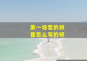 第一场雪的拼音怎么写的呀