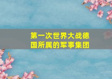 第一次世界大战德国所属的军事集团