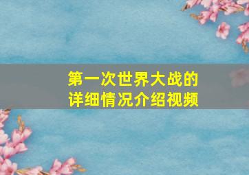 第一次世界大战的详细情况介绍视频