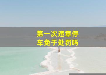 第一次违章停车免于处罚吗