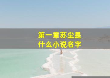 第一章苏尘是什么小说名字