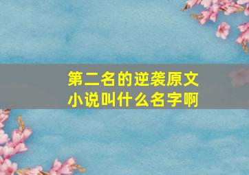 第二名的逆袭原文小说叫什么名字啊