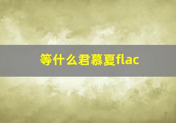 等什么君慕夏flac