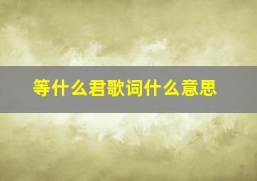 等什么君歌词什么意思