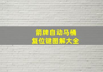 箭牌自动马桶复位键图解大全