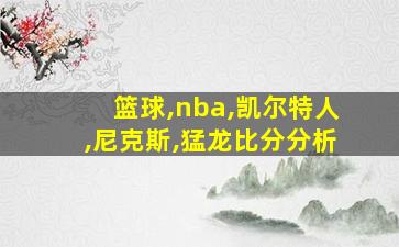 篮球,nba,凯尔特人,尼克斯,猛龙比分分析