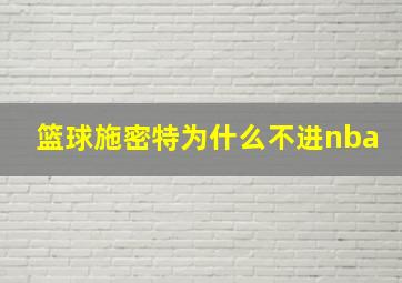 篮球施密特为什么不进nba