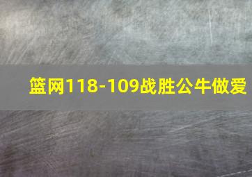 篮网118-109战胜公牛做爱