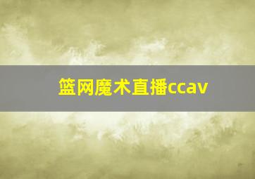 篮网魔术直播ccav