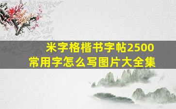 米字格楷书字帖2500常用字怎么写图片大全集