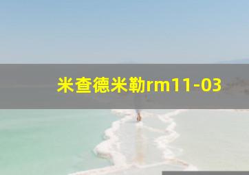 米查德米勒rm11-03