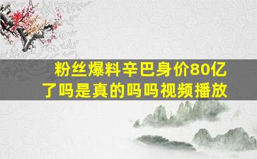 粉丝爆料辛巴身价80亿了吗是真的吗吗视频播放