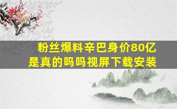 粉丝爆料辛巴身价80亿是真的吗吗视屏下载安装