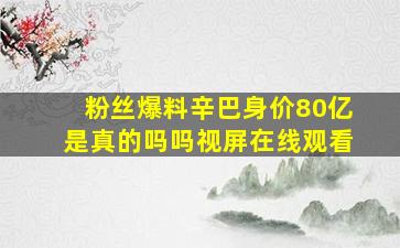 粉丝爆料辛巴身价80亿是真的吗吗视屏在线观看