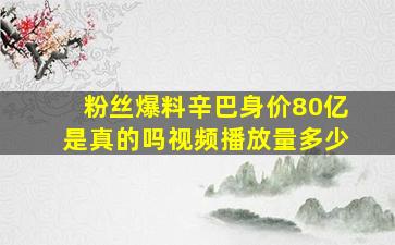 粉丝爆料辛巴身价80亿是真的吗视频播放量多少